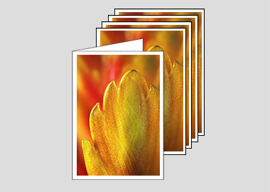 Package of 5 greeting cards - (Flaming Sword HBV) – 6.25″ x 4.5″