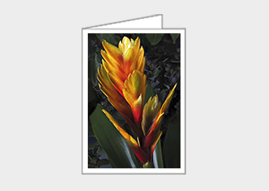 Fine art greeting card - Flaming Sword HV) – 6.25″ x 4.5″