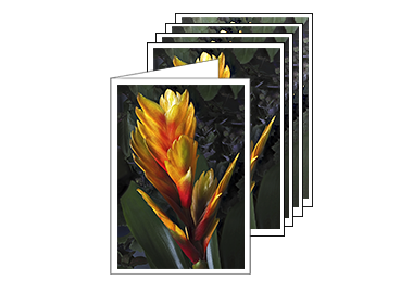 Package of 5 greeting cards - (Flaming Sword HV) – 6.25″ x 4.5″