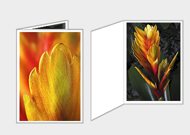 Fine art greeting card - (Flaming Sword) – 6.25″ x 4.5″