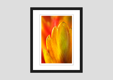 framed print - (Flaming Sword HBV) - 8"x10"