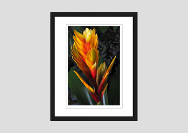 framed print - (Flaming Sword HV) - 8"x10"