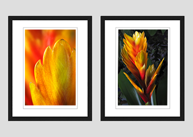Both framed prints - (Flaming Sword) - 8"x10" each