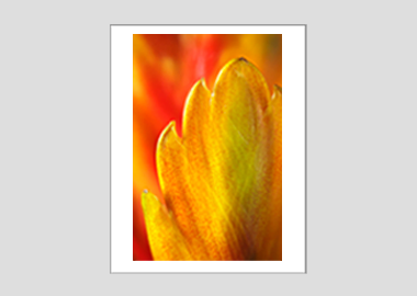 matted print - (Flaming Sword HBV) - 11"x14"