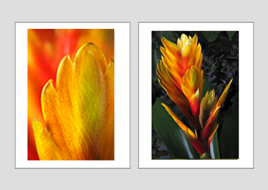 Both matted prints - (Flaming Sword) - 11"x14" each
