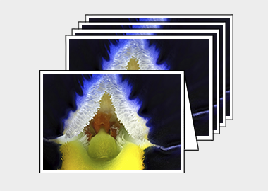 Package of 5 greeting cards - (Frizzle Sizzle Blue HBV) – 4.5″x6.25″