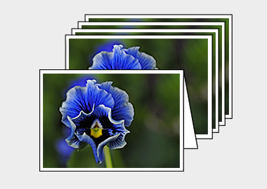 Package of 5 greeting cards - (Frizzle Sizzle Blue HV) – 4.5″x6.25″