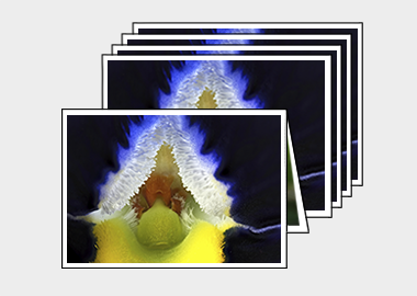 Package of 5 greeting cards - (Frizzle Sizzle Blue) – 4.5″x6.25″