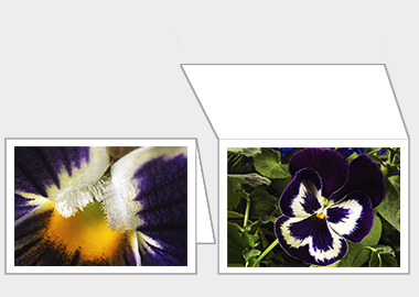 Fine art greeting card - (Garden Pansy with Inner Glow) – 4.5″x6.25″