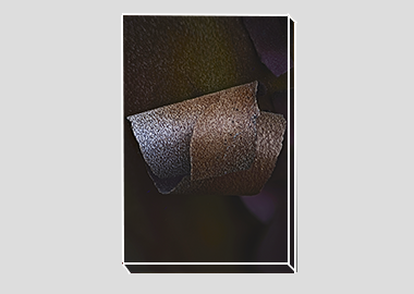 canvas print - (Greek Strawberry Bark HBV) - 8"x12"