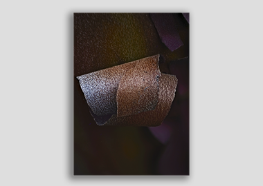 canvas print - (Greek Strawberry Bark HBV) - 8"x12"