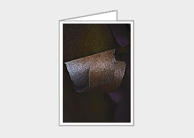 Fine art greeting card - (Greek Strawberry Bark HBV) – 6.25″ x 4.5″