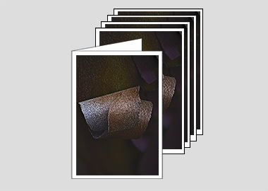 Package of 5 greeting cards - (Greek Strawberry Bark HBV) – 6.25″ x 4.5″