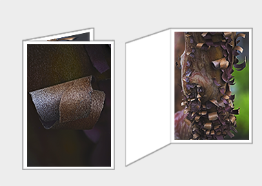 Fine art greeting card - (Greek Strawberry Bark) – 6.25″ x 4.5″