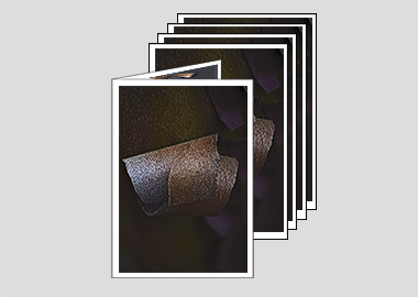 Package of 5 greeting cards - (Greek Strawberry Bark) – 6.25″ x 4.5″