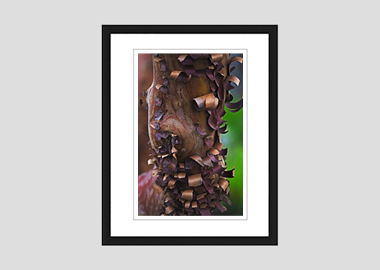 framed print - (Greek Strawberry Bark HV) - 8"x10"