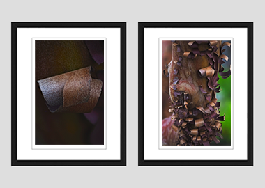 Both framed prints - (Greek Strawberry Bark) - 8"x10" each