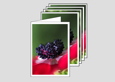 Package of 5 greeting cards - (Harmony Scarlet Anemone HBV) – 4.5″x6.25″