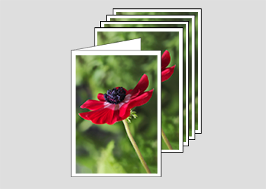 Package of 5 greeting cards - (Harmony Scarlet Anemone HV) – 4.5″x6.25″
