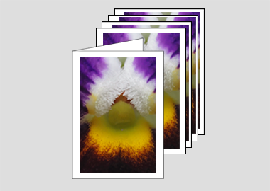 Package of 5 greeting cards - (Heart's Ease HBV) – 4.5″x6.25″