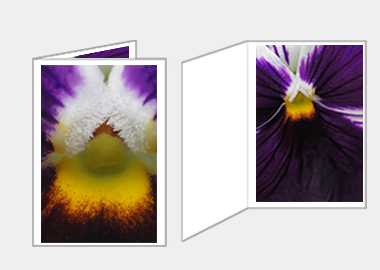 Fine art greeting card - (Heart's Ease) – 4.5″x6.25″