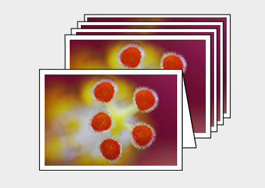 Package of 5 greeting cards - (Hibiscus HBV) – 4.5″x6.25″