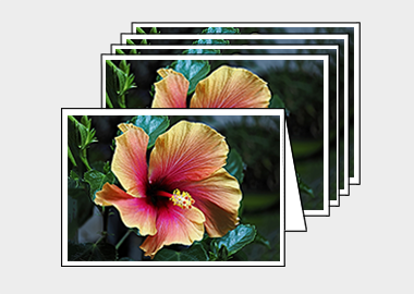 Package of 5 greeting cards - (Hibiscus HV) – 4.5″x6.25″