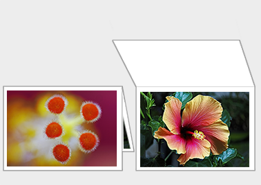 Fine art greeting card - (Hibiscus) – 4.5″x6.25″