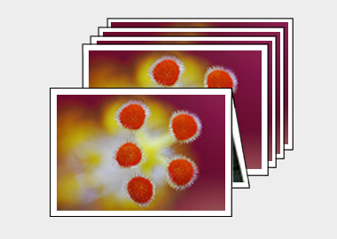 Package of 5 greeting cards - (Hibiscus) – 4.5″x6.25″