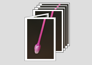 Package of 5 greeting cards - (Hummingbird Fuchsia) – 4.5″x6.25″