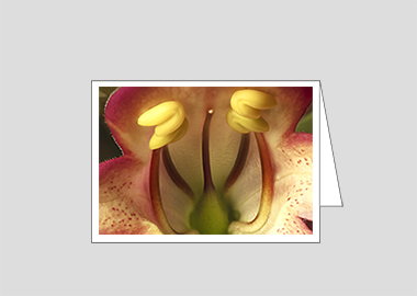 Fine art greeting card - (Illumination Flame HBV) – 4.5″x6.25″