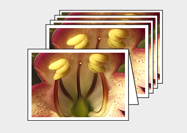 Package of 5 greeting cards - (Illumination Flame HBV) – 4.5″x6.25″
