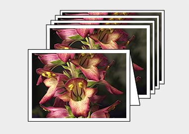Package of 5 greeting cards - (Illumination Flame HV) – 4.5″x6.25″
