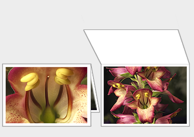 Fine art greeting card - (Illumination Flame) – 4.5″x6.25″