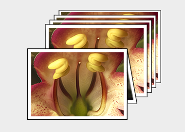 Package of 5 greeting cards - (Illumination Flame) – 4.5″x6.25″