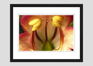 framed print - (Illumination Flame HBV) - 8"x10"