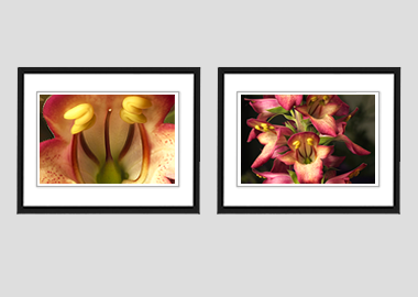 Both framed prints - (Illumination Flame) - 8"x10" each