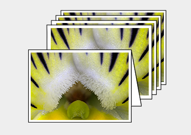 Package of 5 greeting cards - (Blue Jelly Bean HBV) – 4.5″x6.25″