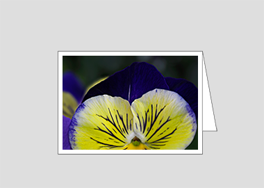 Fine art greeting card - (Matrix Morpheus HV) – 4.5″x6.25″