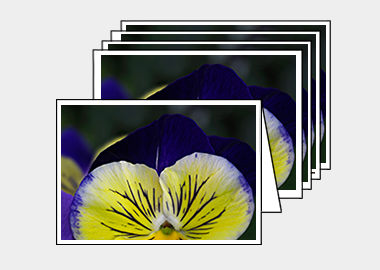 Package of 5 greeting cards - (Matrix Morpheus HV) – 4.5″x6.25″