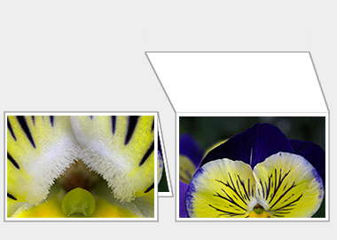 Fine art greeting card - (Matrix Morpheus) – 4.5″x6.25″