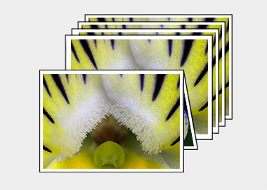 Package of 5 greeting cards - (Matrix Morpheus) – 4.5″x6.25″