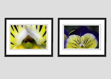 Both framed prints - (Matrix Morpheus) - 8"x10" each