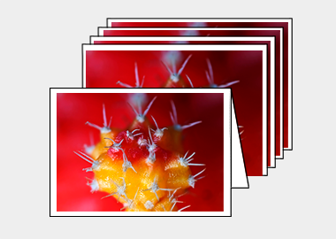 Package of 5 greeting cards - (Moon Cactus HBV) – 4.5″x6.25″