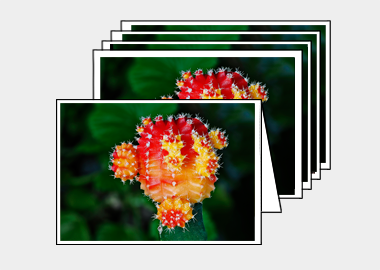 Package of 5 greeting cards - (Moon Cactus HV) – 4.5″x6.25″