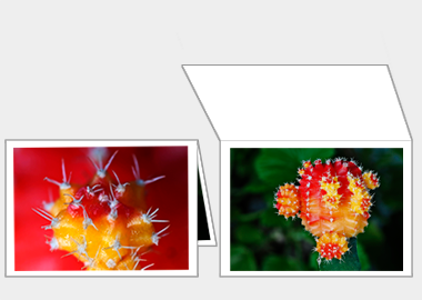 Fine art greeting card - (Moon Cactus) – 4.5″x6.25″