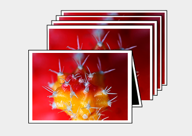 Package of 5 greeting cards - (Moon Cactus) – 4.5″x6.25″