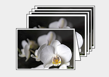 Package of 5 greeting cards - (Moon Orchid HV) – 4.5″x6.25″