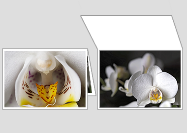 Fine art greeting card - (Moon Orchid) – 4.5″x6.25″