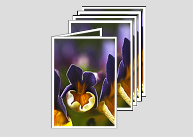 Package of 5 greeting cards - (Nemesia ‘Passionberry’) – 6.25″ x 4.5″